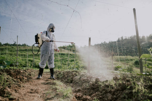 Best Mosquito Control Services  in Kemp Mill, MD