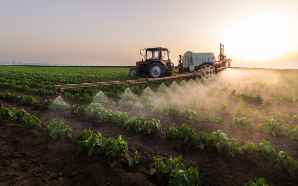 Best Commercial Pest Control Services  in Kemp Mill, MD