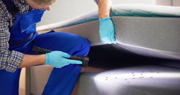 Best Affordable Pest Control Services  in Kemp Mill, MD