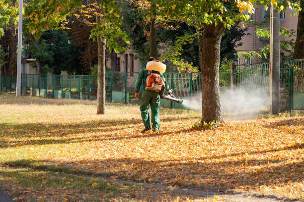 Best Wasp Removal Services  in Kemp Mill, MD