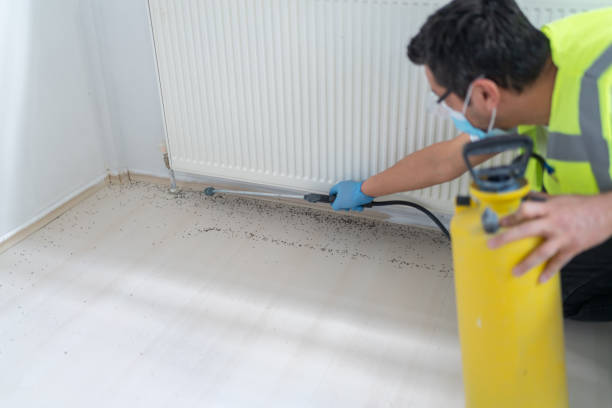 Best Emergency Pest Control  in Kemp Mill, MD